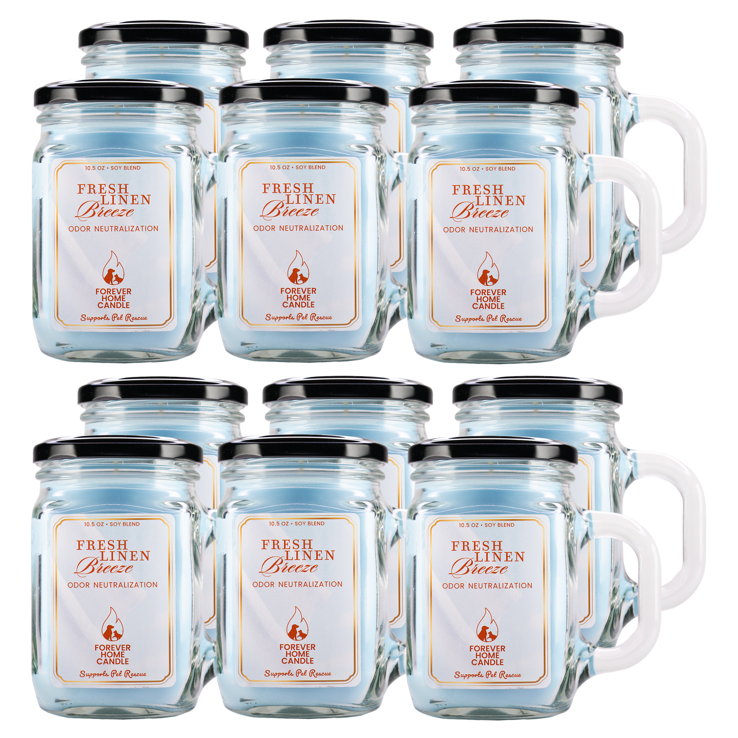 Fresh Linen Breeze (Favorite 12-Pack)