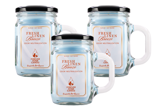 Fresh Linen Breeze (Favorite 3-Pack)