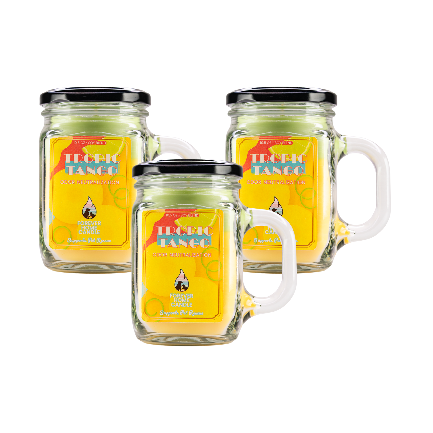 Tropic Tango (Favorite 3-Pack)