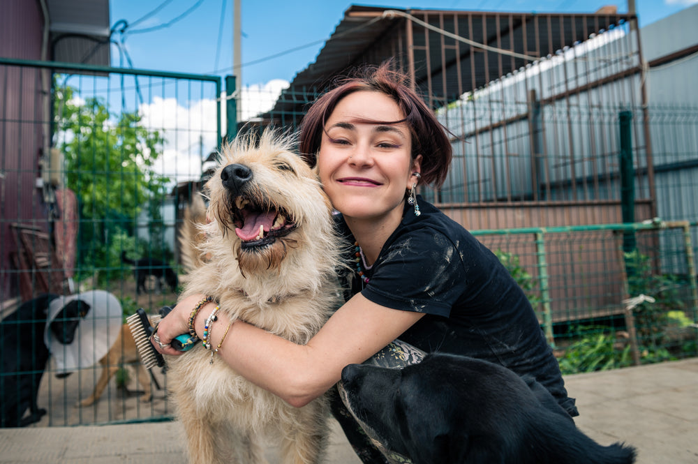 Rescue Dog