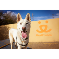 Best Friends Animal Society