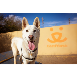 Best Friends Animal Society