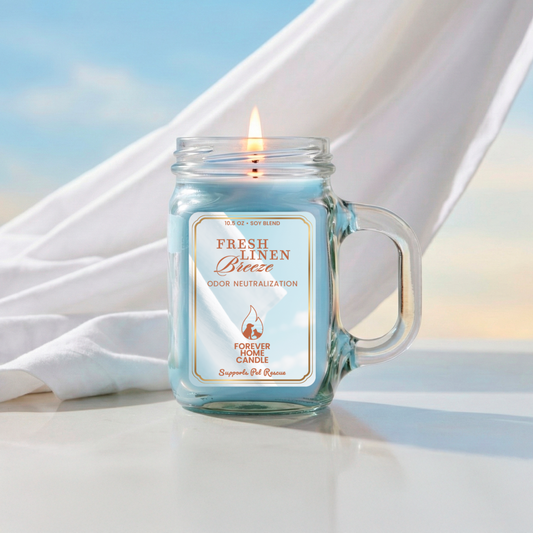 Fresh Linen Breeze (Favorite 3-Pack)